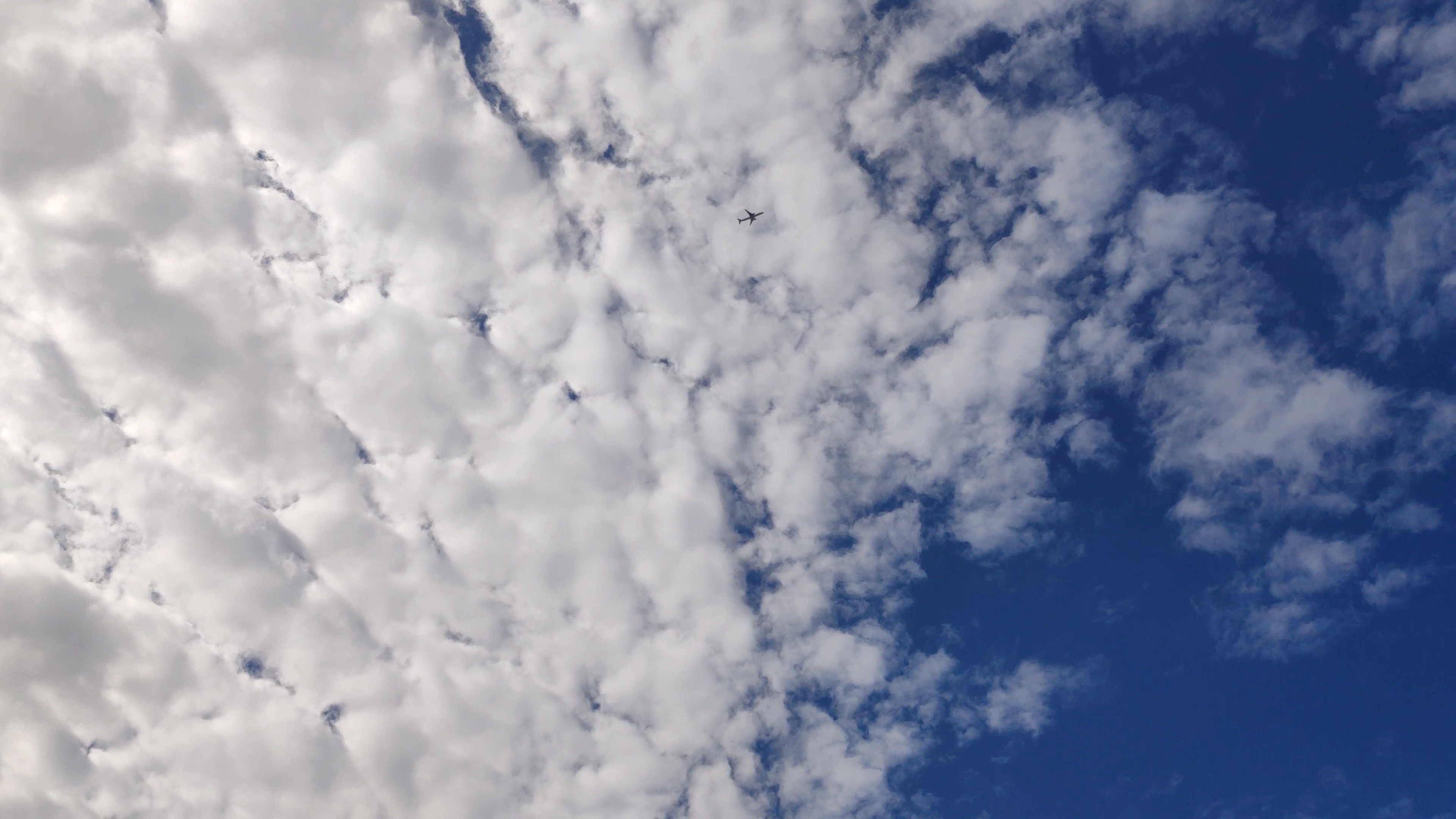 天空中飞过从浦东机场起飞的航班